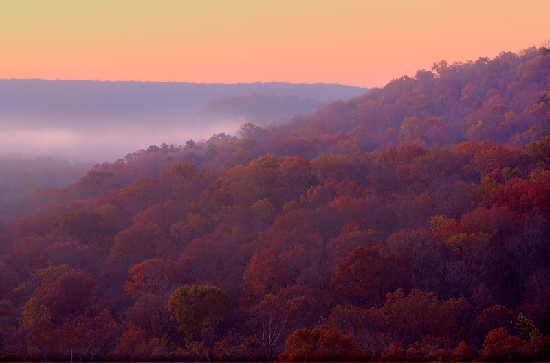 Distant Mist