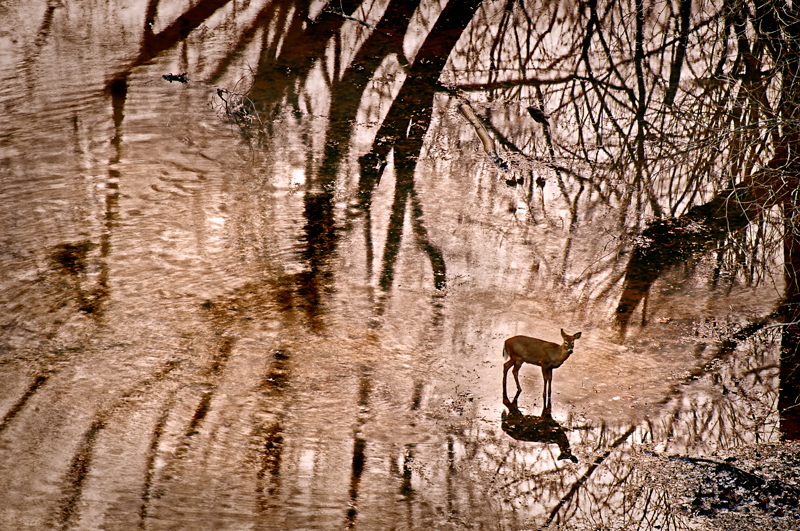 walking on water