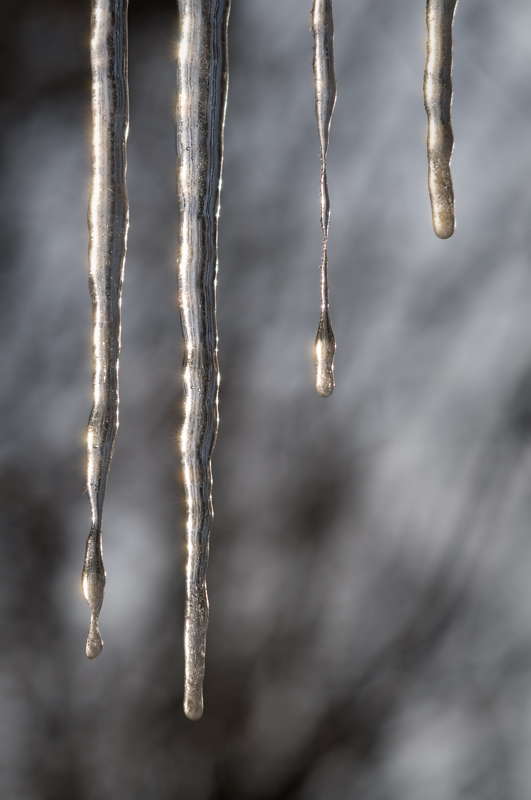 icycles