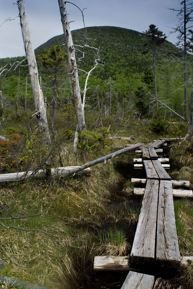 Trail around Lonesome Lake
