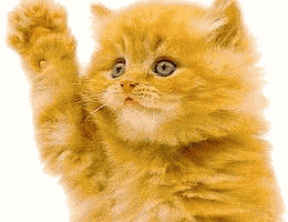 ByeKitty.gif