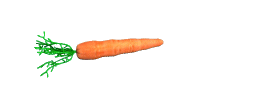 CarrotSpin.gif