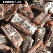 SquirrelNuts.jpg