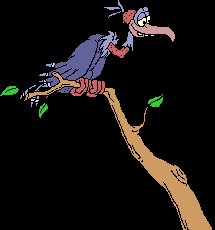 Buzzard1.gif