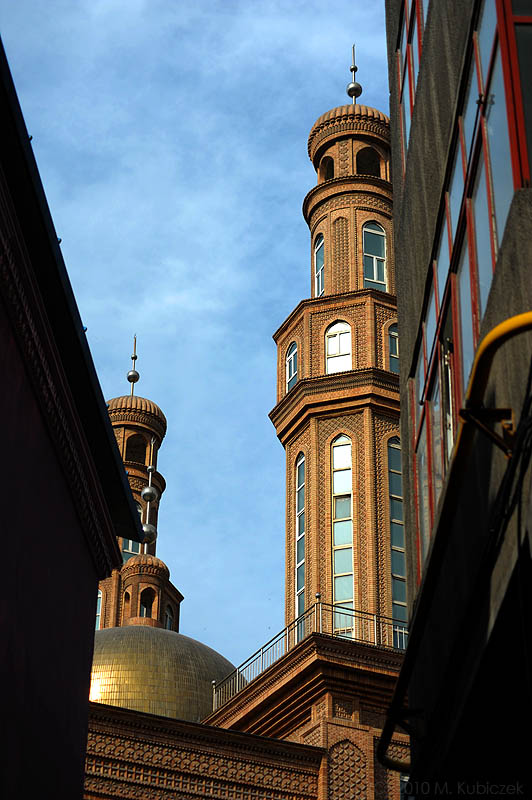 d7010 132.jpg