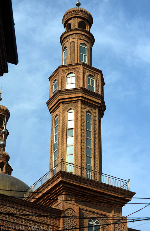 d7010 133.jpg