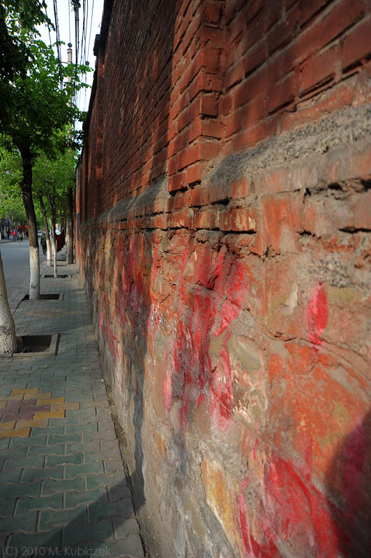d7010 165.jpg
