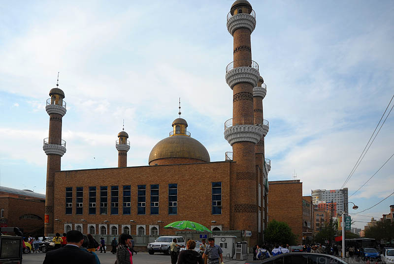 d7010 175.jpg