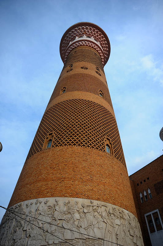d7010 181.jpg