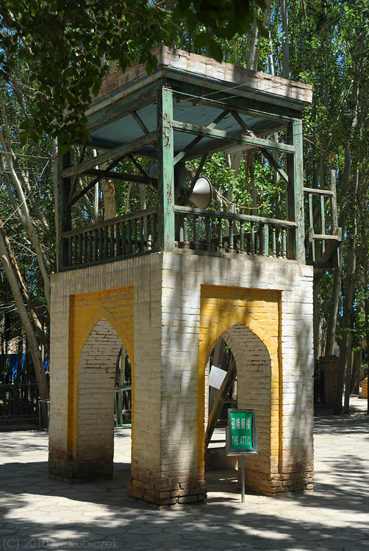 d7010 539.jpg