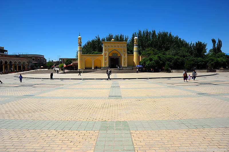 d7010 560.jpg
