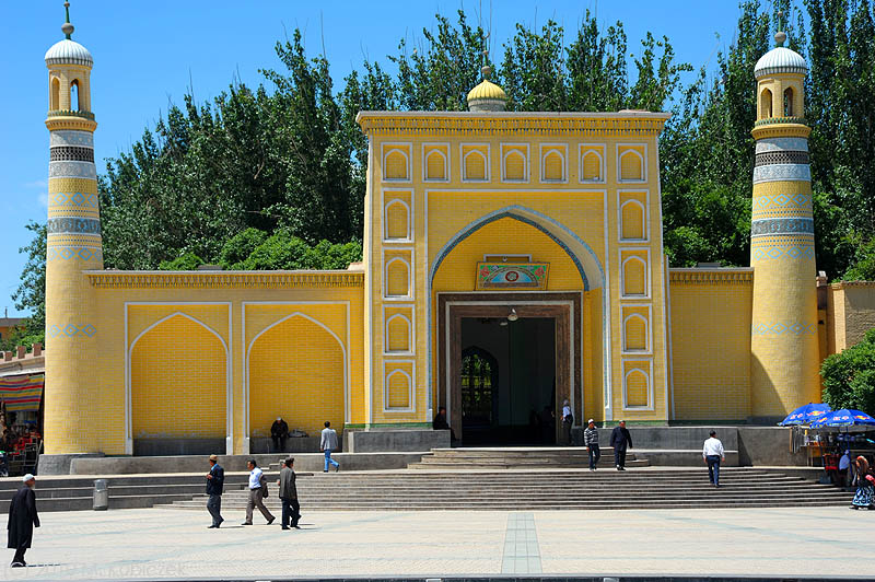 d7010 561.jpg