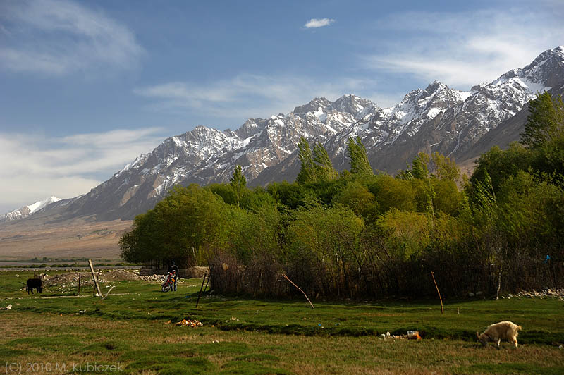 d7012 089.jpg