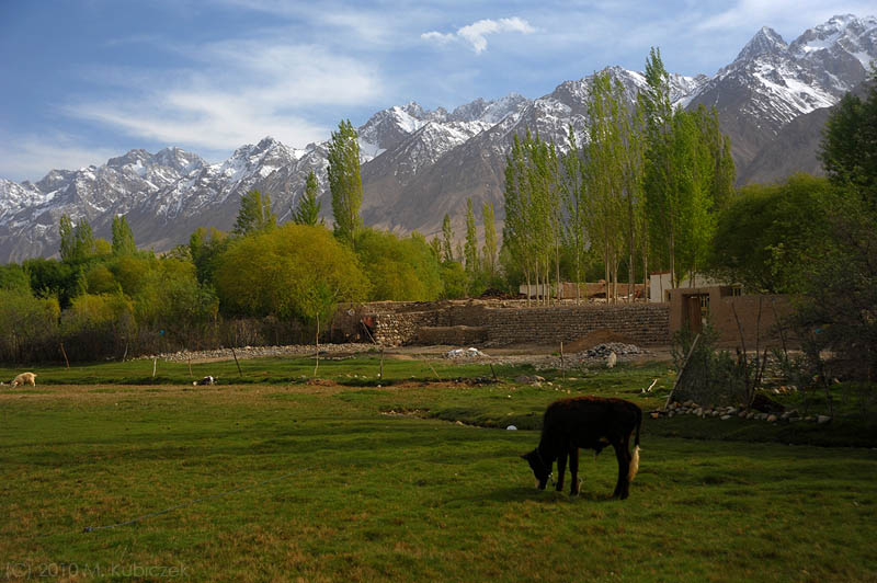 d7012 093.jpg