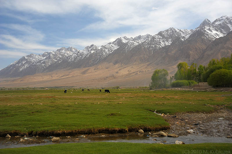 d7012 096.jpg