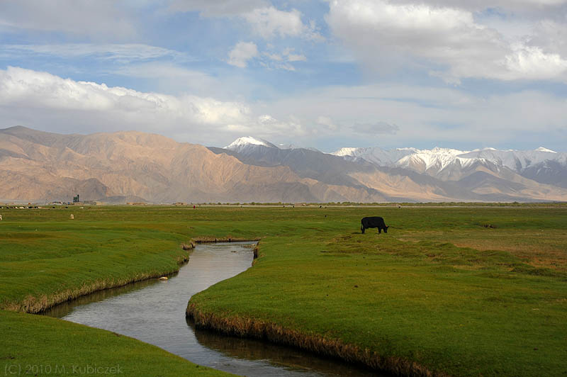 d7012 097.jpg
