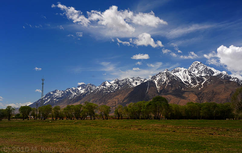 d7013 125.jpg