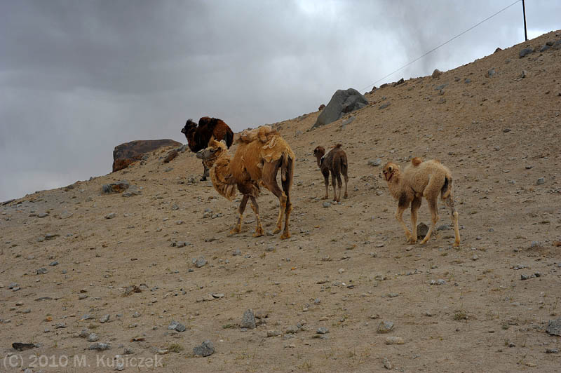 d7013 194.jpg