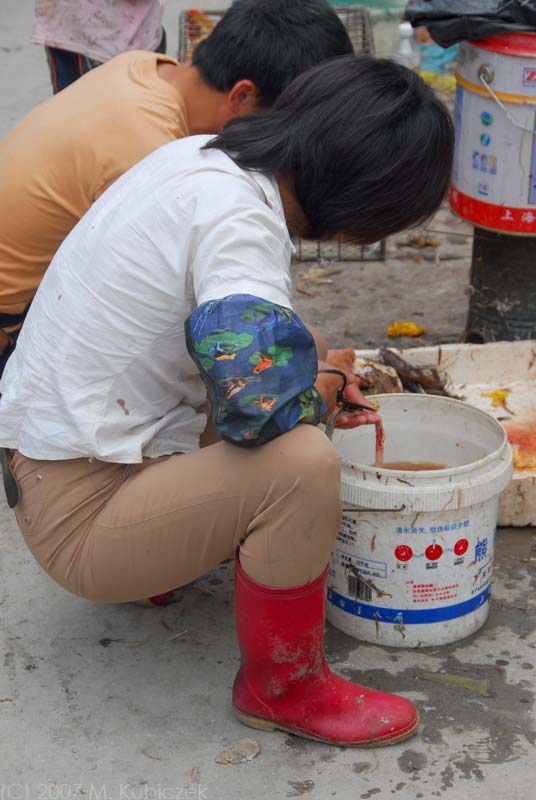 lao2 (10).jpg