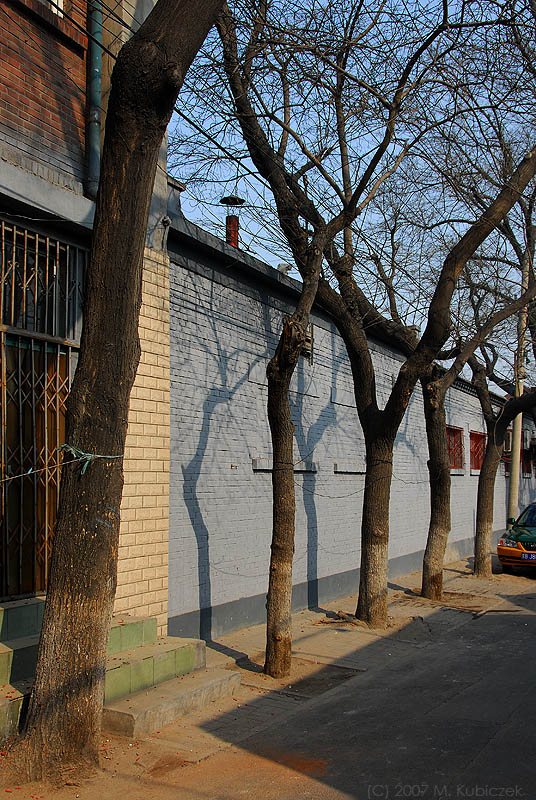 hut 39.jpg