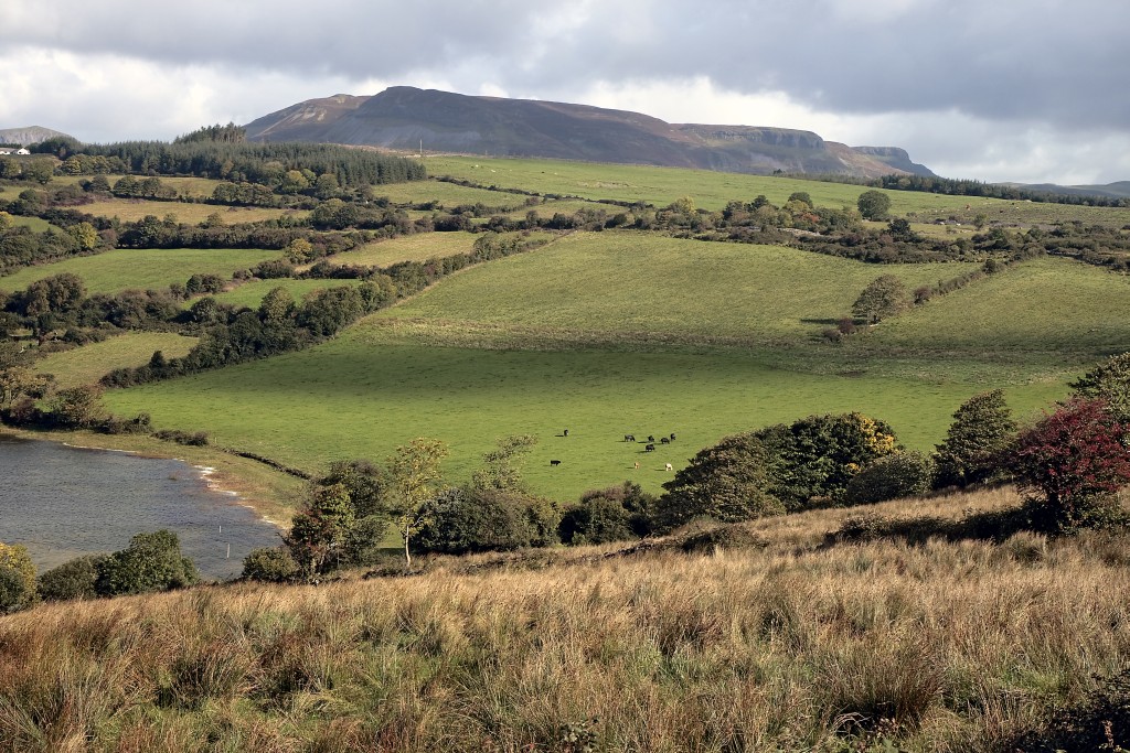 View from the Hazelwood Road