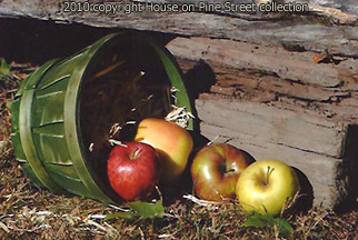Apple Cascade.jpg