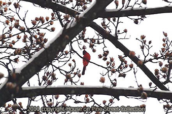 o6/52/946452/1/131820081.MxQ0kNtC.Skyward.jpg