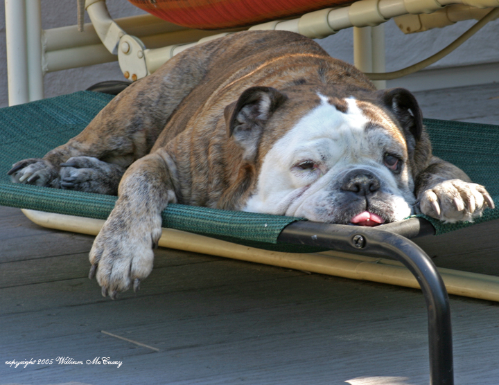 Guard Duty on the deck.