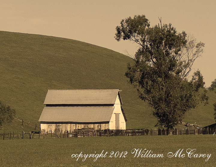 Barn on Airline Highway