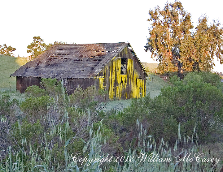 Yellow barn in field