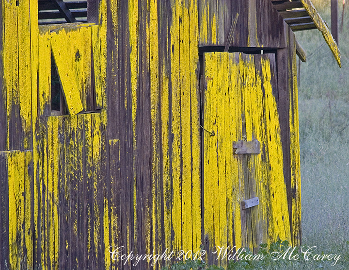 Yellow barn door