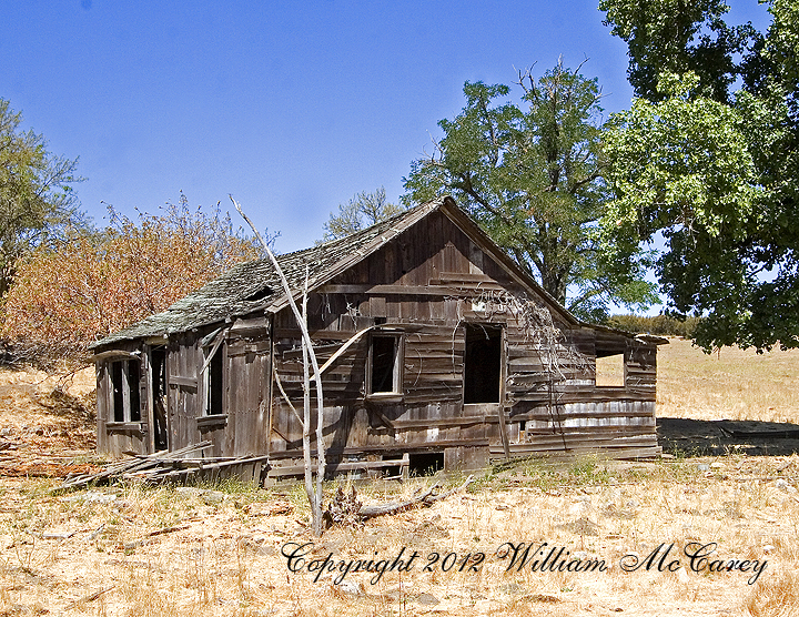 Old homestead cabin