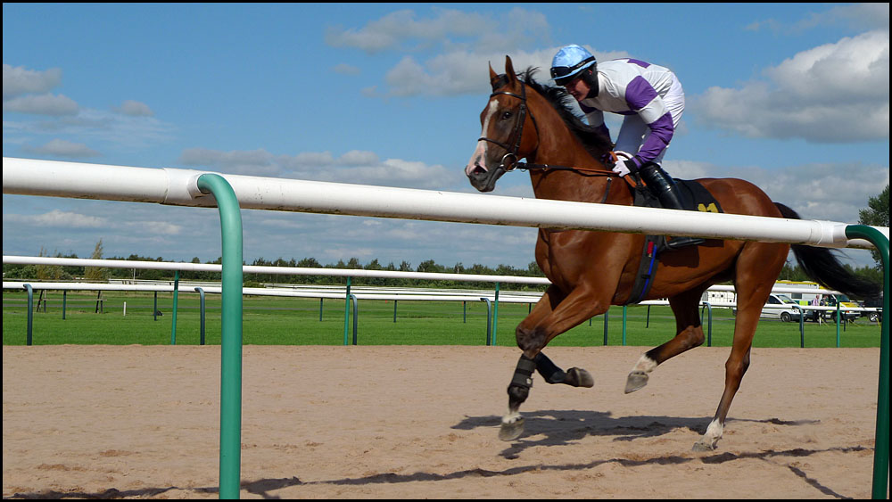 Ladies Day - Southwell Racecourse