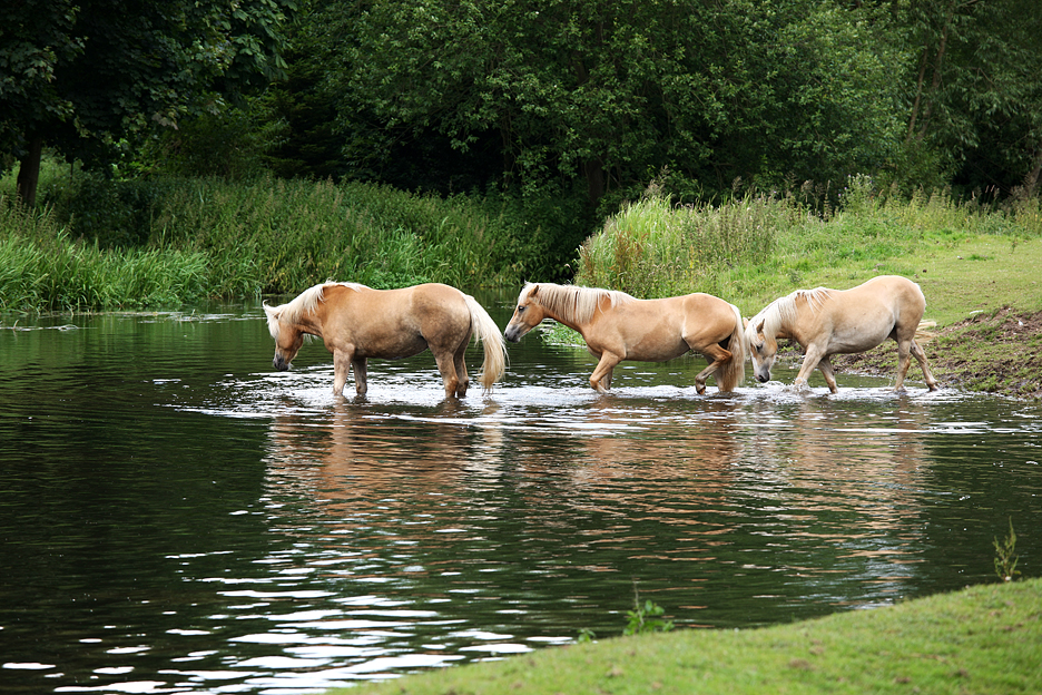 Mum and the Kids
