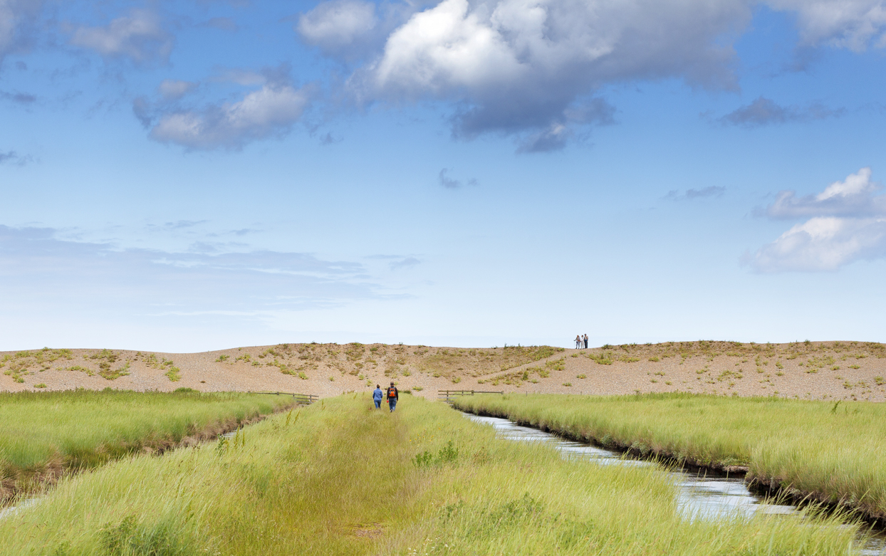 A Walk Through the Nature Reserve