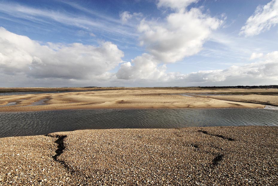 Shingle Beach