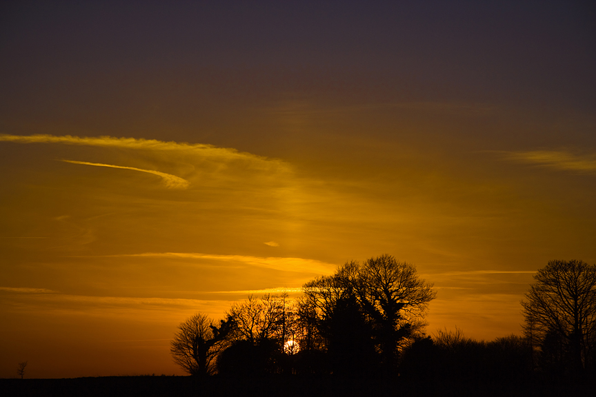 The Copse