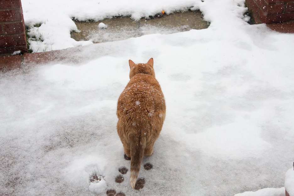 Baby it`s Cold Outside
