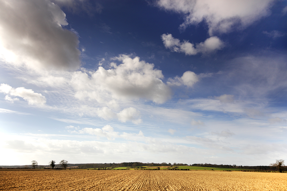 All Ploughed Up