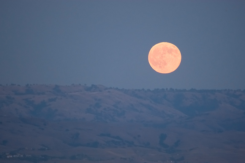 Harvest Moon Rising