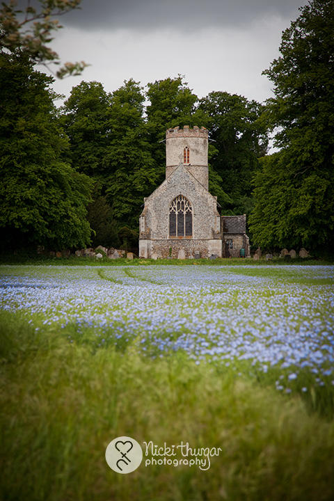 11 May - Linseed fields