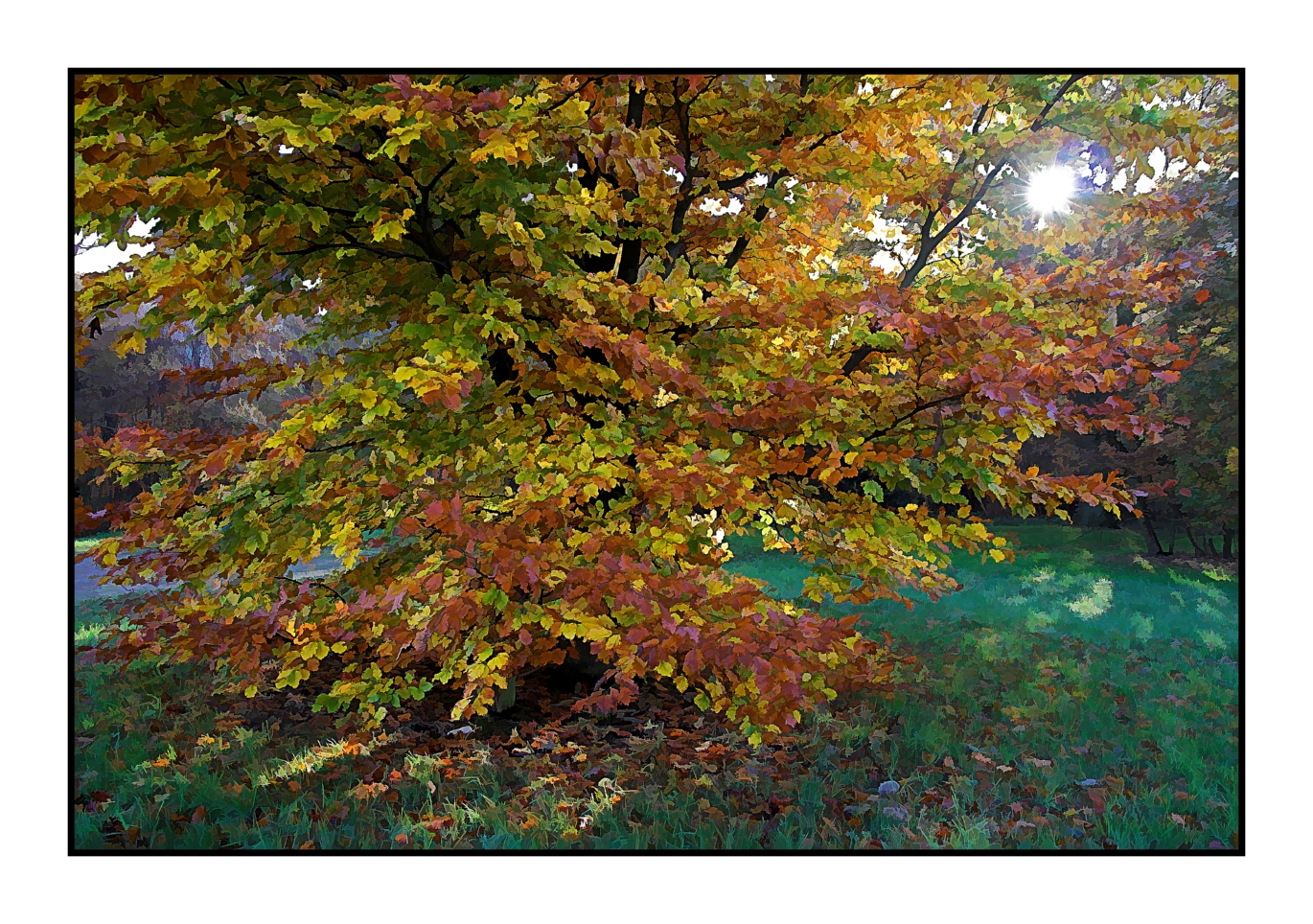 Autumn tree
