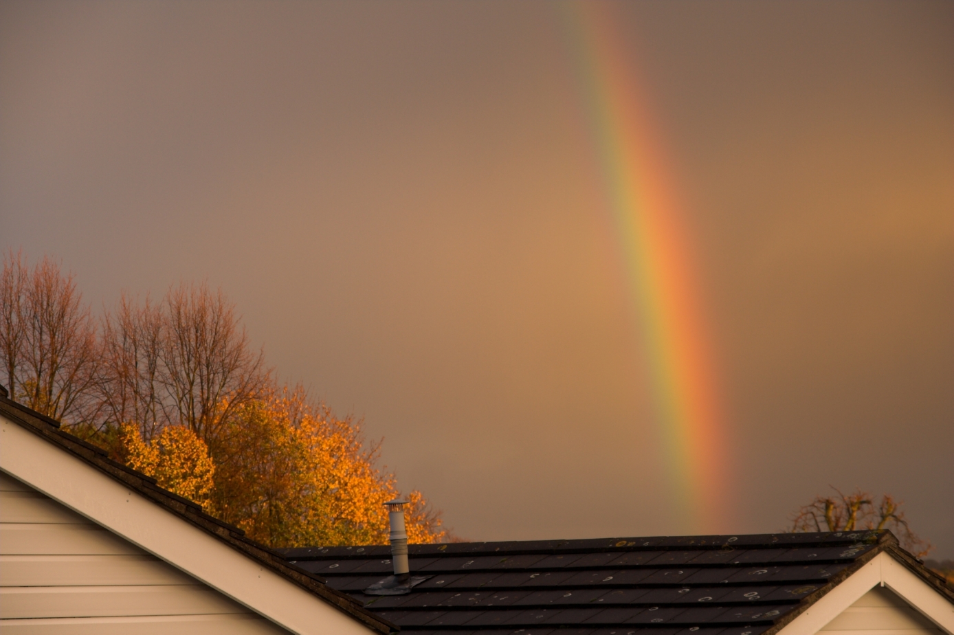 rainbow & glowing tree