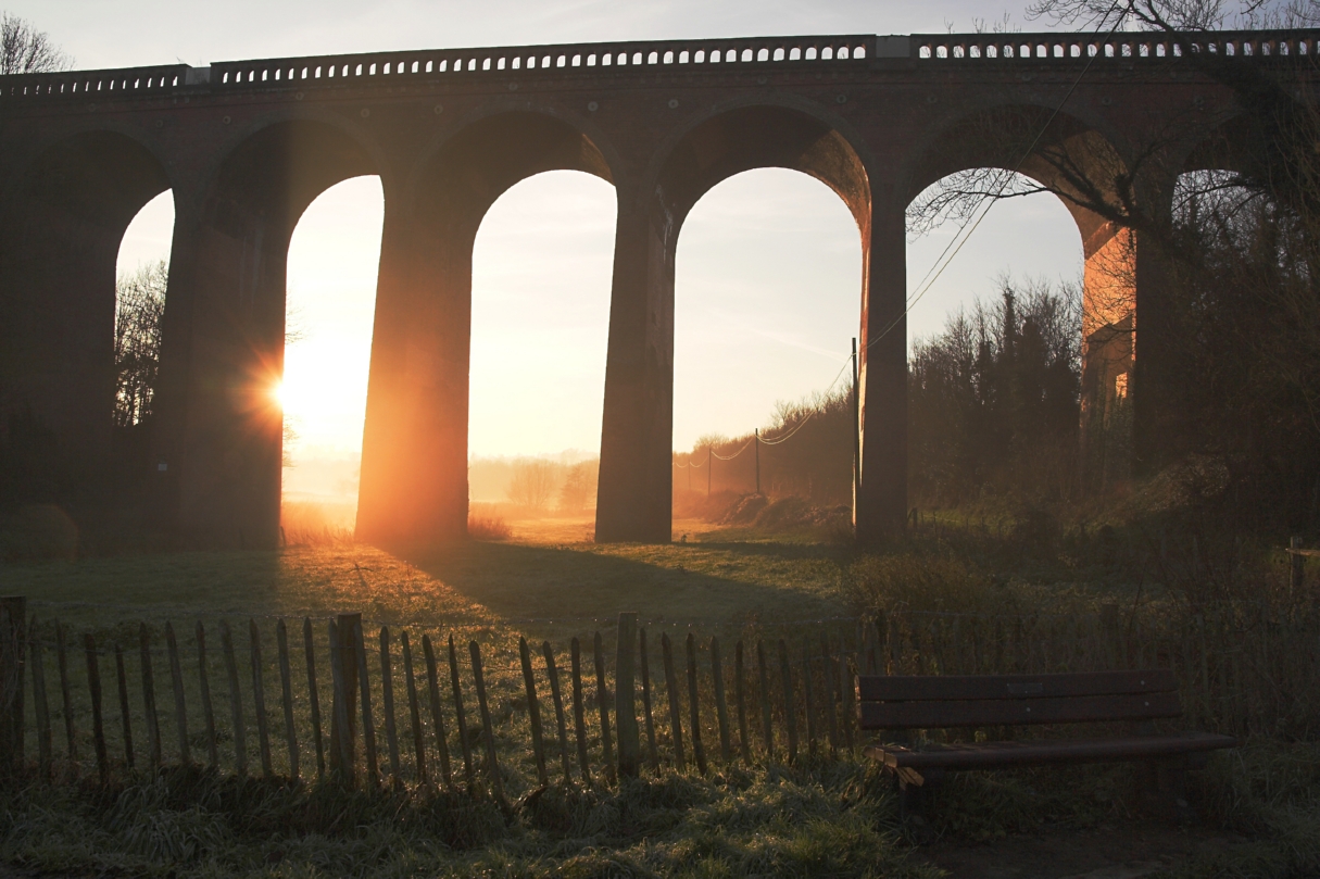 Bridge rays