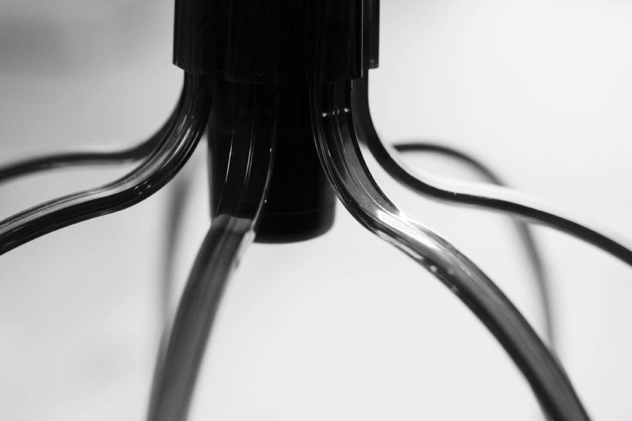 10 January... any guesses what this is?!