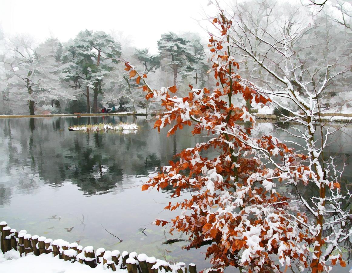 Keston Ponds, snowey beech