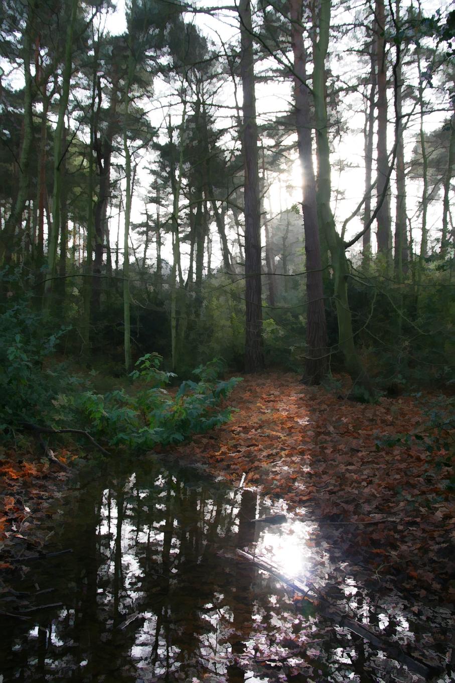 through the trees - buzzed