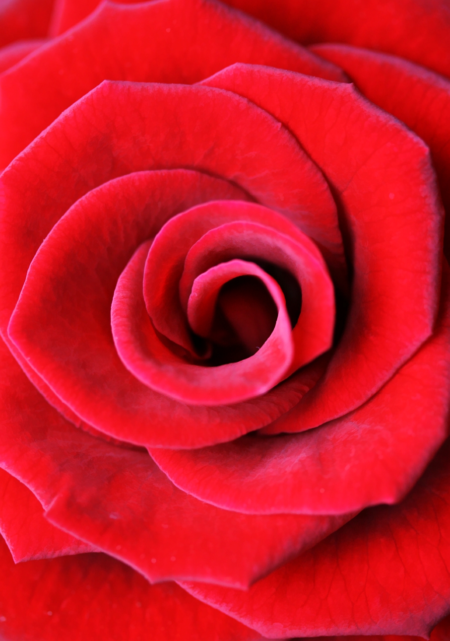 14 February - romantic...