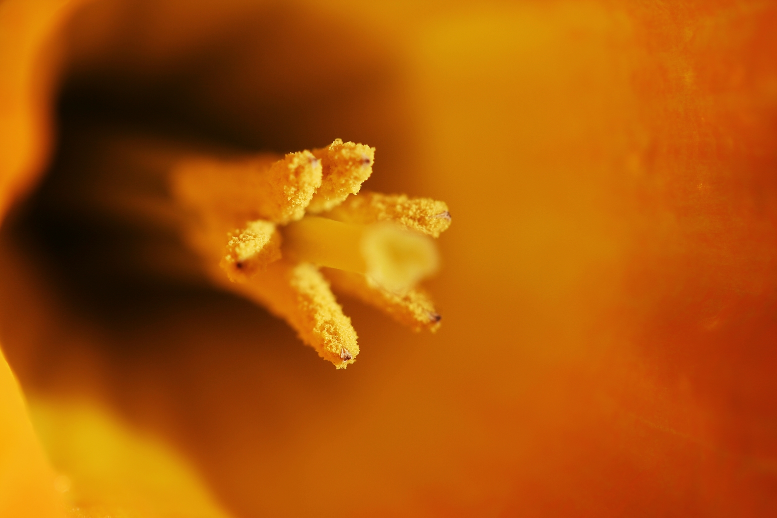 5 March - Daff