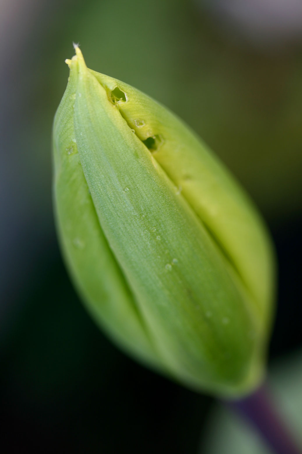 20 March- emerging...
